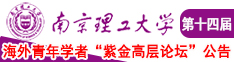 大鸡巴干骚逼流水视频南京理工大学第十四届海外青年学者紫金论坛诚邀海内外英才！